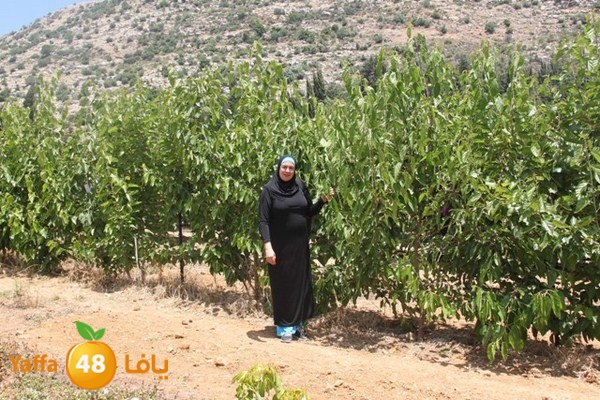 bayareq re7la shamal 0612 (52).JPG